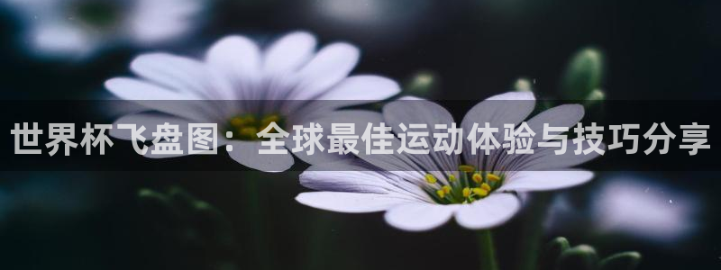 女足世界杯直播:世界杯飞盘图:全球最佳运动体验与技巧分享
