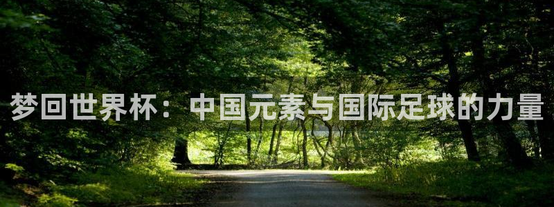 2026足球世界杯赛程时间表:梦回世界杯:中国元素与国际足球的力量