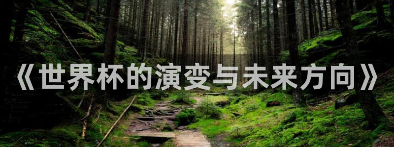 2026年男足世界杯:《世界杯的演变与未来方向》