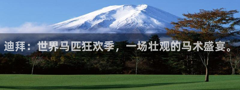 世界杯预选赛亚洲区积分榜:迪拜:世界马匹狂欢季,一场壮观的马术盛宴。
