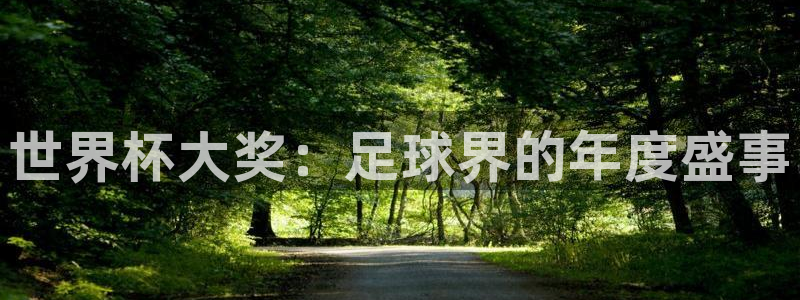 世界杯直播观看:世界杯大奖:足球界的年度盛事