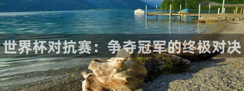 亚洲区世界杯预选赛:世界杯对抗赛:争夺冠军的终极对决