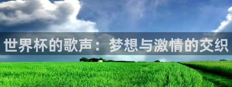 世界杯球队排名:世界杯的歌声:梦想与激情的交织