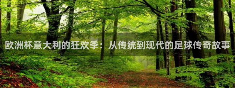 2026年世界杯赛程:欧洲杯意大利的狂欢季:从传统到现代的足球传奇故事